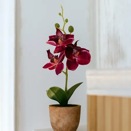 شقة Firule Apartment-two Bedroom Urban Chic-prime Location-walk To Beach-free Parking سبليت