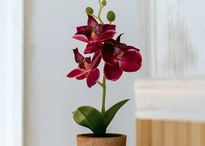 Lägenhet Firule Apartment-two Bedroom Urban Chic-prime Location-walk To Beach-free Parking Split