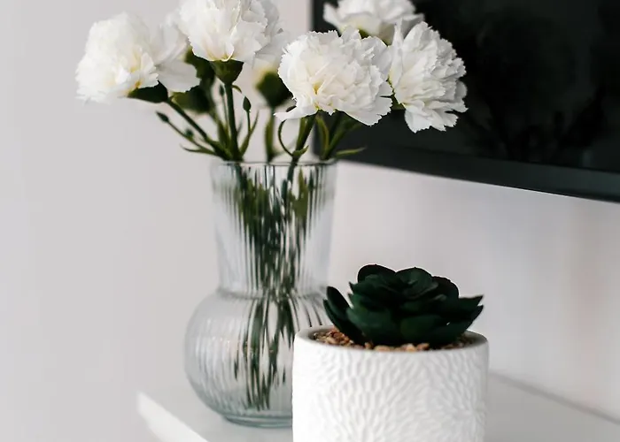 Firule Apartment-two Bedroom Urban Chic-prime Location-walk To Beach-free Parking Lägenhet Split